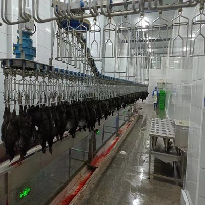Оптимизированная полуавтоматическая машина для убоя птицы