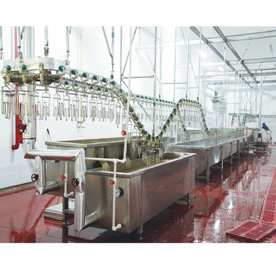 Оборудование для убоя птицы высокой производительности 220V / 380V для уток 200 - 12000BPH