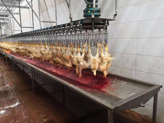 1000 цыплят в час (БФ) Полная мини-линия по переработке птицы Убойный завод