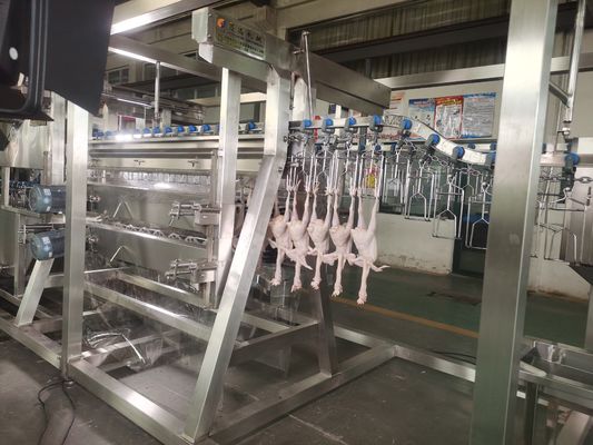 Китайская автоматическая фабрика по переработке курицы Новое оборудование для убоя из стальной фермы