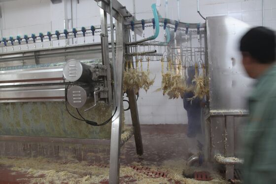 Машина для разделки курицы Маленькая птица Убойная птица Куриная птица (полос) Обработка мяса Оборудование для обработки курицы